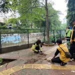 Jangan Salah Pasang, Ini Perbedaan Guiding Block Dot dan Line